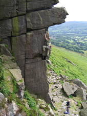 neb butress bamford